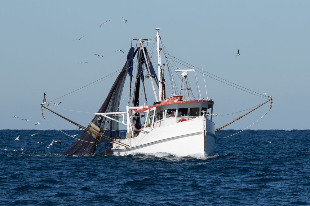Fishing boat catching fish
